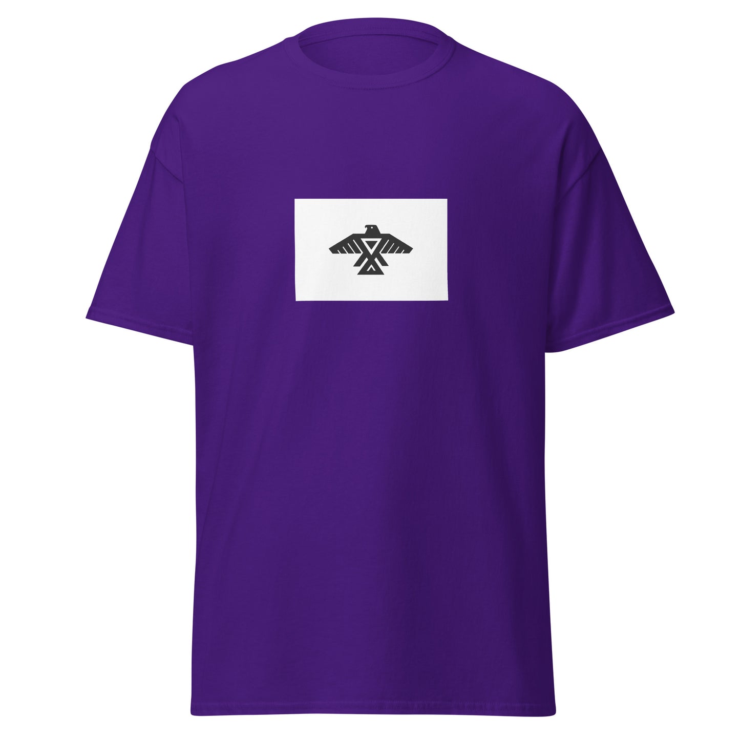 USA - Anishinaabe People | Native American Flag Interactive T-shirt