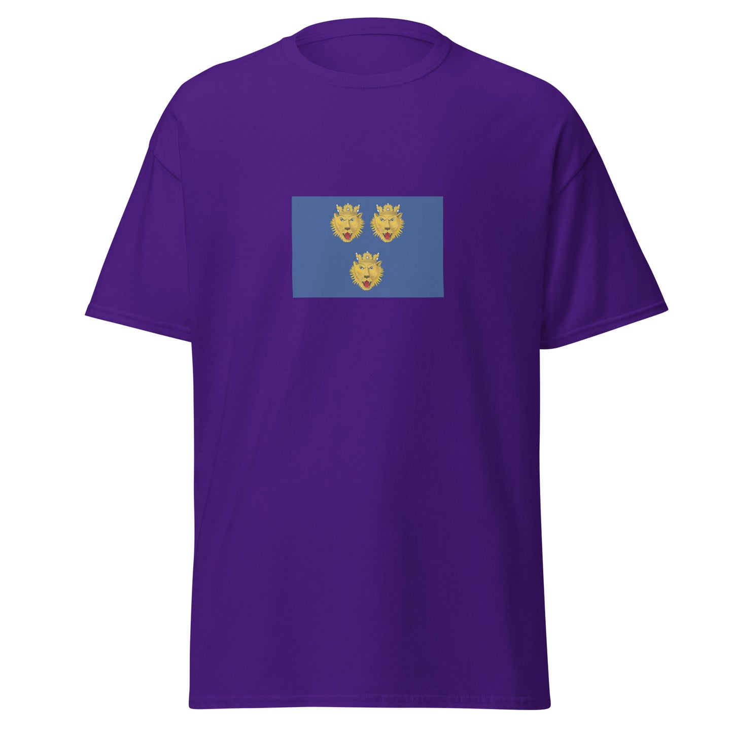 Italy - Dalmation Italians | Ethnic Italian Flag Interactive T-shirt