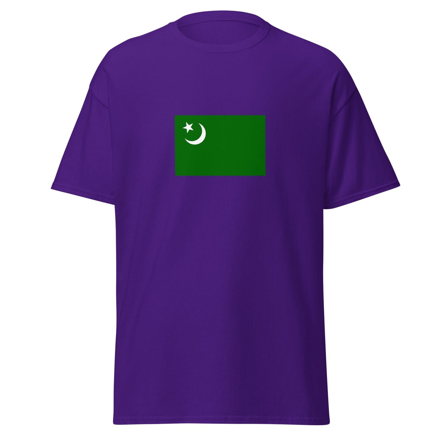 India - Hindustani Muslims | Ethnic Indian Flag Interactive T-shirt