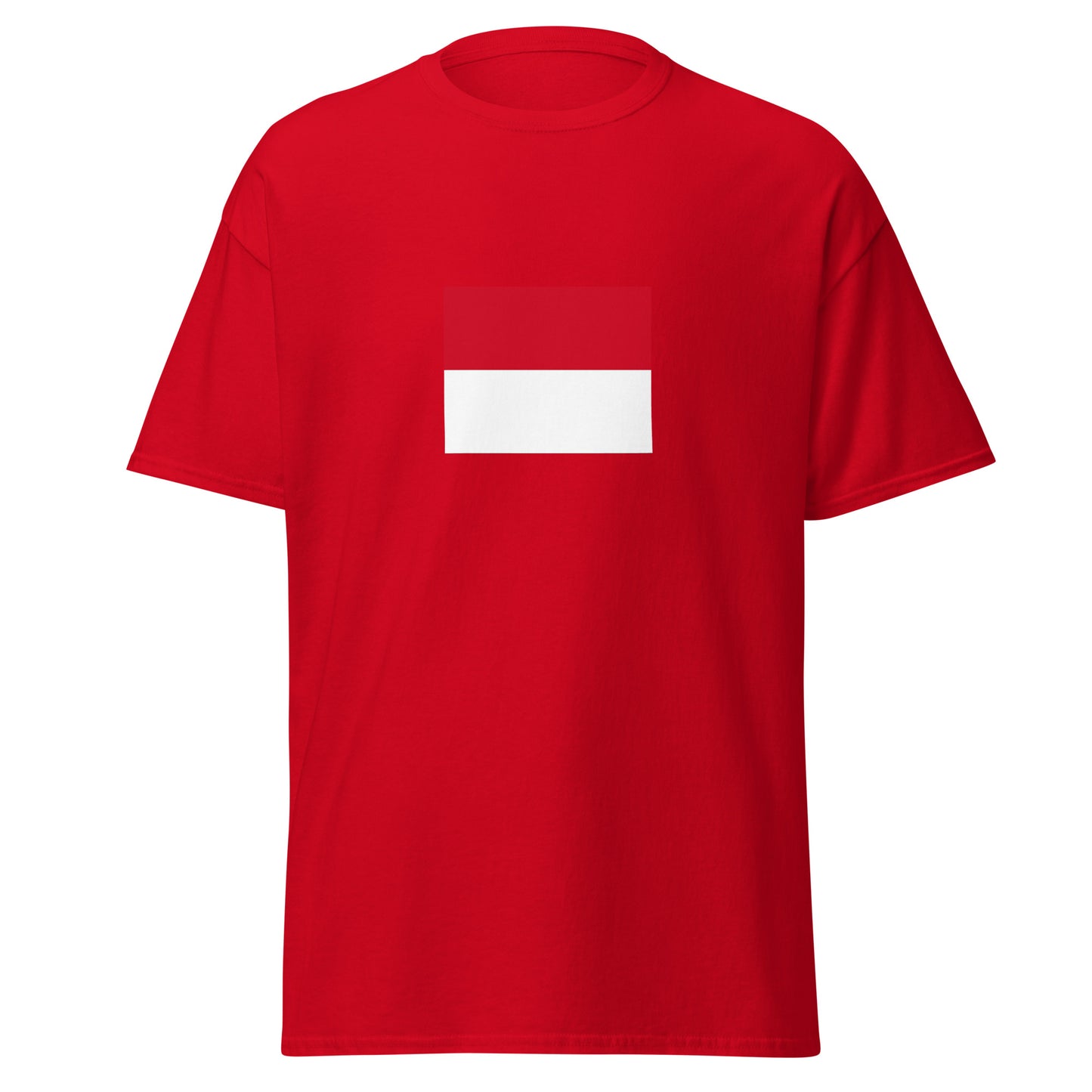 Italy - Monegasque people | Ethnic Italian Flag Interactive T-shirt