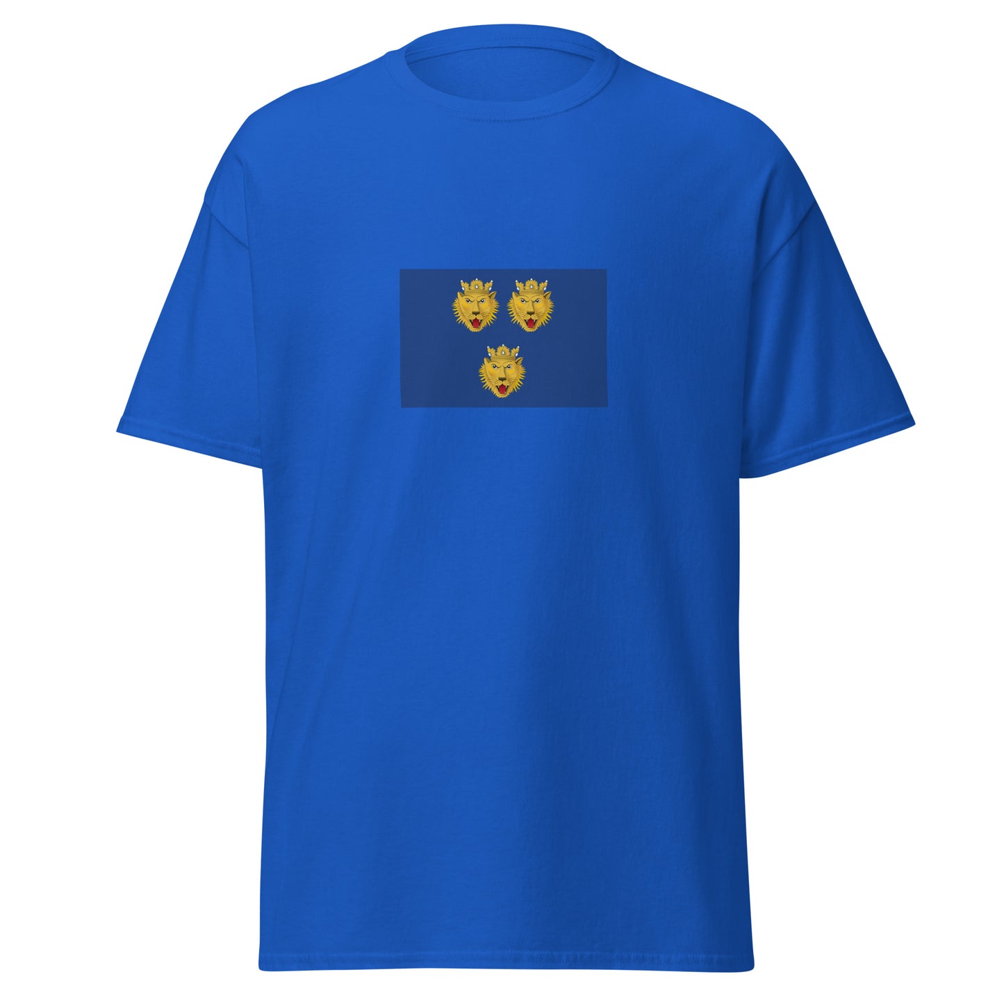 Italy - Dalmation Italians | Ethnic Italian Flag Interactive T-shirt