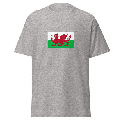 USA - Welsh People | Ethnic American Flag Interactive T-shirt