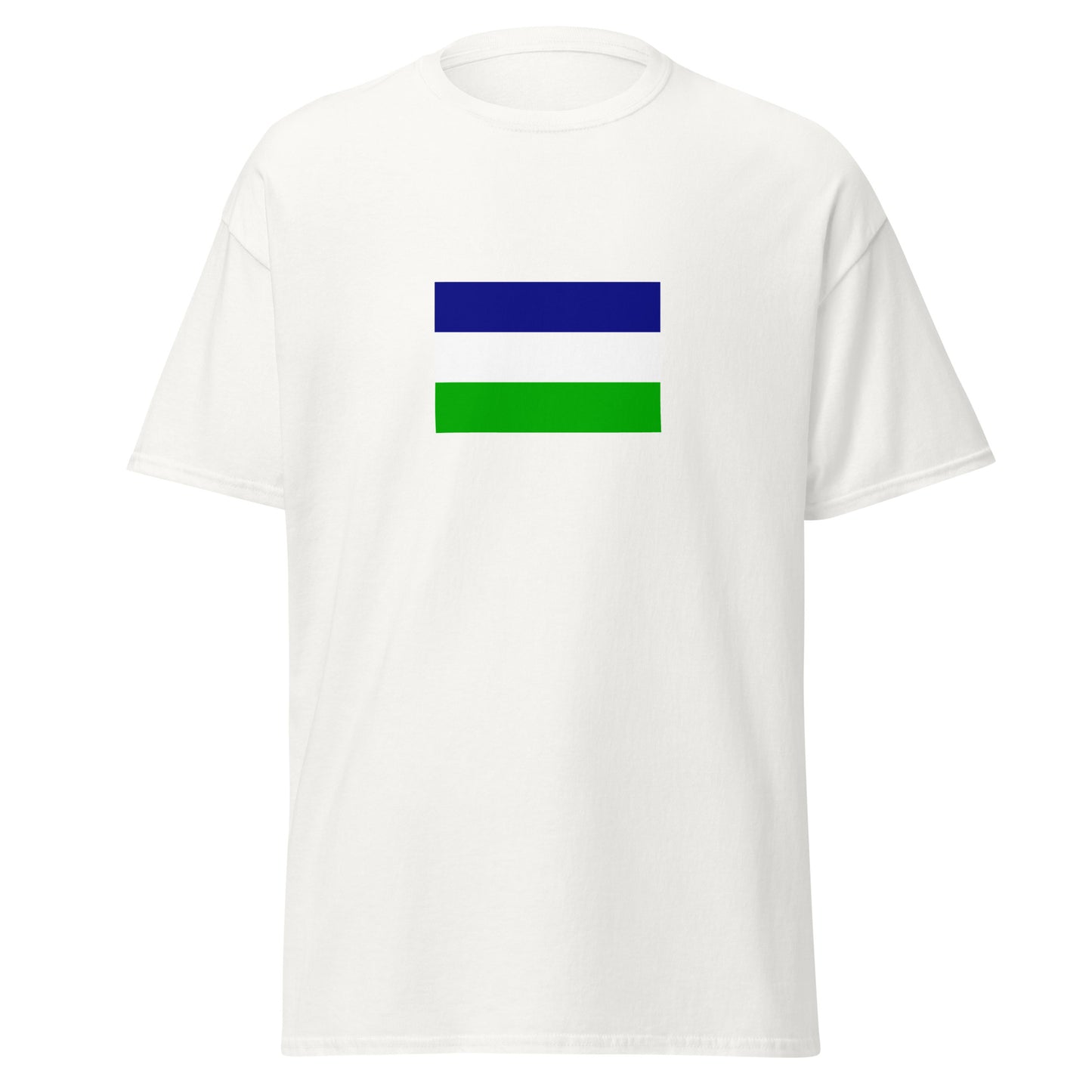 Argentina - Kingdom of Araucania and Patagonia (1860-1860) | Historical Argentina Flag Interactive T-Shirt