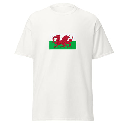 USA - Welsh People | Ethnic American Flag Interactive T-shirt
