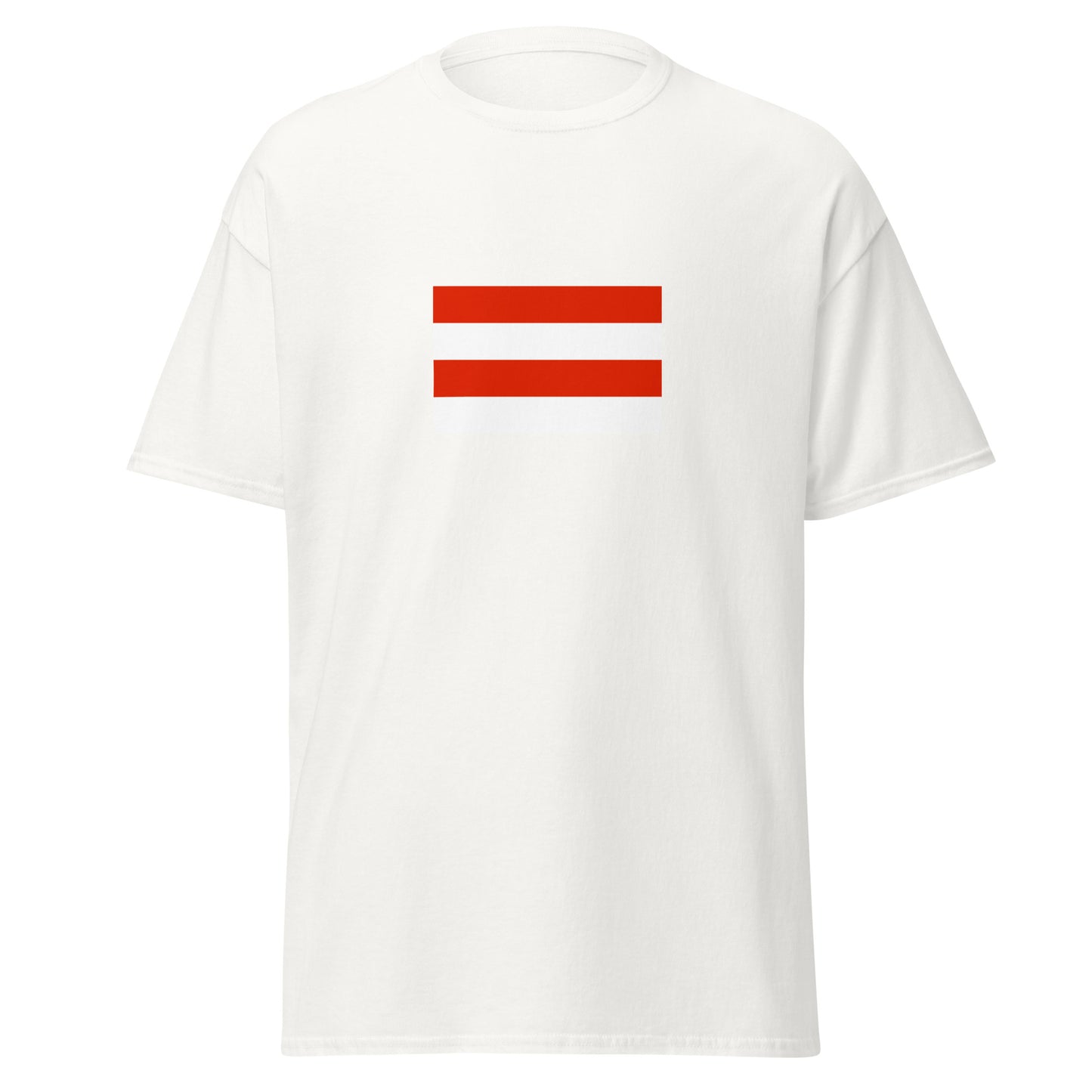 India - Gujarati People | Ethnic Indian Flag Interactive T-shirt