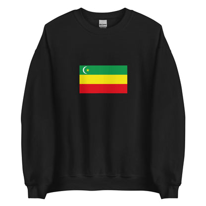 Kazakhstan - Alash Autonomy (1917-1920) | Historical Kazakh Flag Interactive Sweatshirt