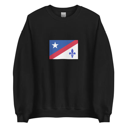USA - French Americans | Ethnic American Flag Interactive Sweatshirt