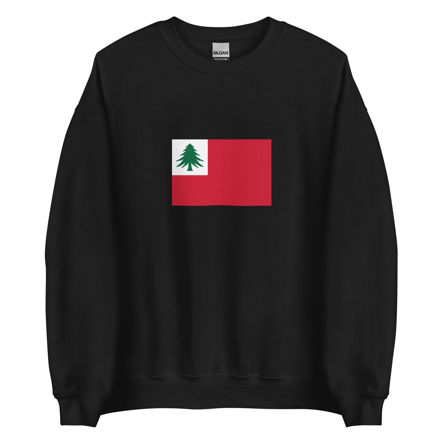 USA - New Englanders (Yankees) | Ethnic American Flag Interactive Sweatshirt