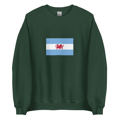 Argentina - Wladfa Patagonians | Ethnic Argentina Flag Interactive Sweatshirt