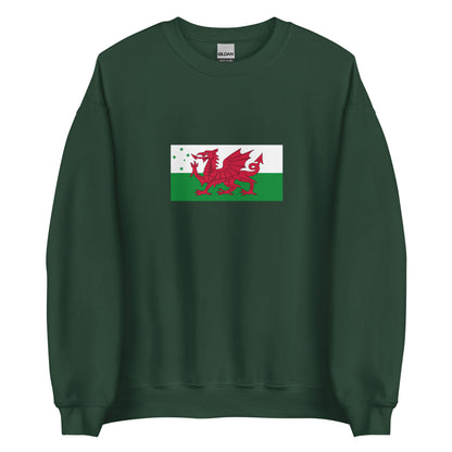 Australia - Welsh Australians | Ethnic Australian Flag Interactive Sweatshirt