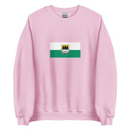Romania - Danube Swabians | Ethnic Romanian Flag Interactive Sweatshirt