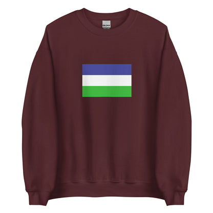 Argentina - Kingdom of Araucania and Patagonia (1860-1860) | Historical Argentina Flag Interactive Sweatshirt