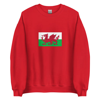 USA - Welsh People | Ethnic American Flag Interactive Sweatshirt