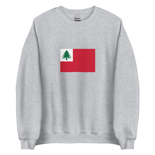 USA - New Englanders (Yankees) | Ethnic American Flag Interactive Sweatshirt