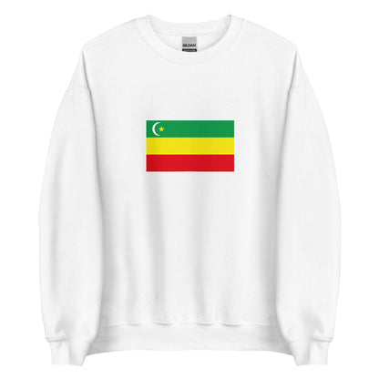 Kazakhstan - Alash Autonomy (1917-1920) | Historical Kazakh Flag Interactive Sweatshirt