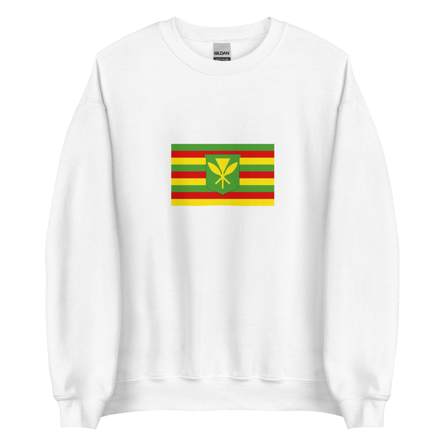 USA - Native Hawaiians | Native American Flag Interactive Sweatshirt